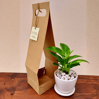 Product 2