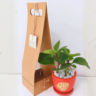 Product 2